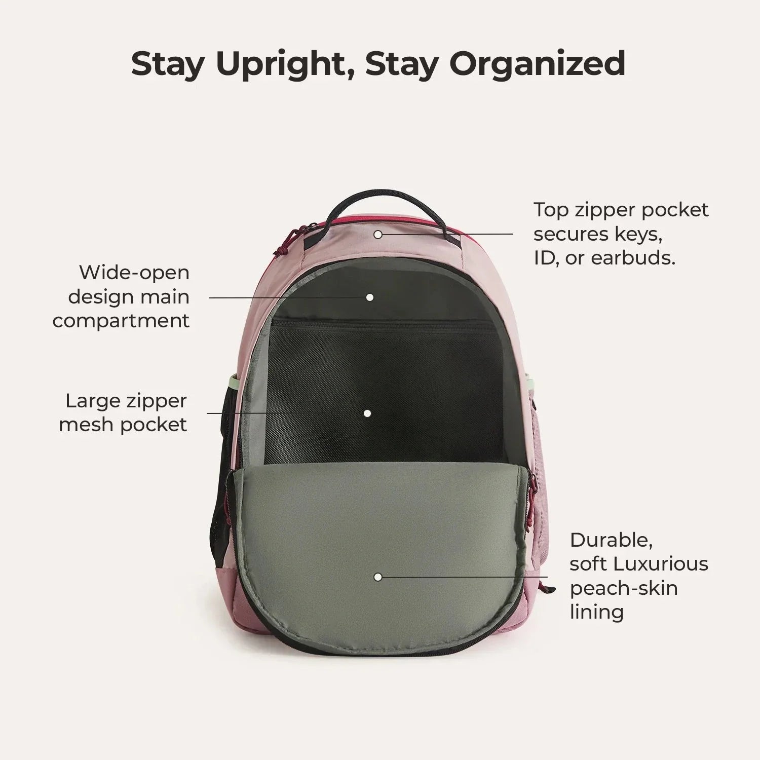 Focus 15.6" Laptop Backpack